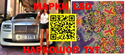 mdpv Будённовск