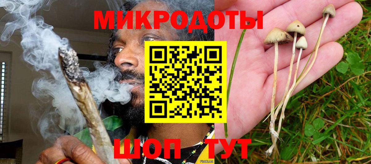 Псилоцибиновые грибы Psilocybe  Вход с VPN  Лиски  Псилоцибиновые грибы ЛСД 